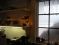cardinal white lights&nbsp;2