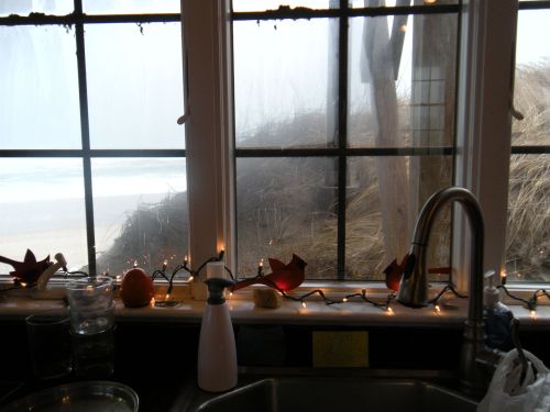 cardinal:white lights 1