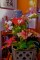 DSCN4616_2