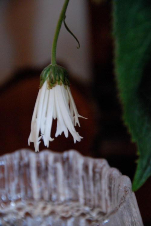 Christmas, Faculty party 07-08 023_2