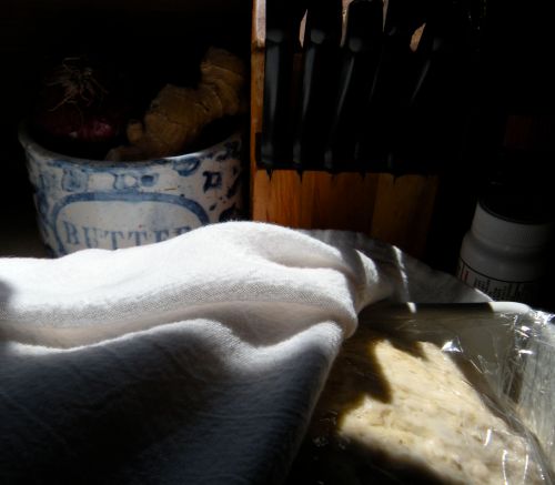 oatmeal bread rising on the kitchen counter