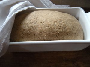 . . . rye bread dough rising