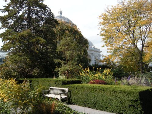 glass conservatory 2