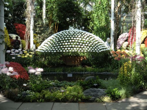 mums tableau with ferns