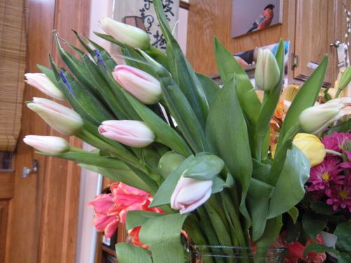 more well-wishing flowers. . . 