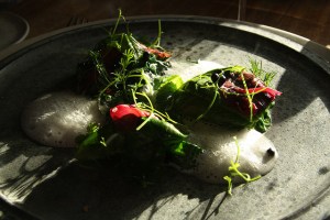 photo credit: http://farm3.staticflickr.com/2725/4124855646_9cdc843cda_z.jpg