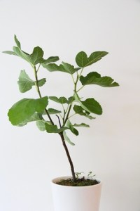 5888374b3d6e88fab9e61f1f19e50ca9