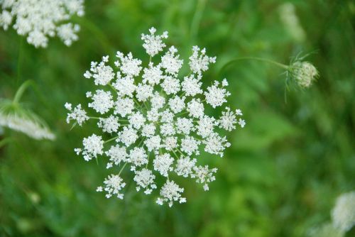 simplicity itself . . .