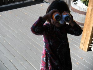 josie looking through her new binoculars. . . 
