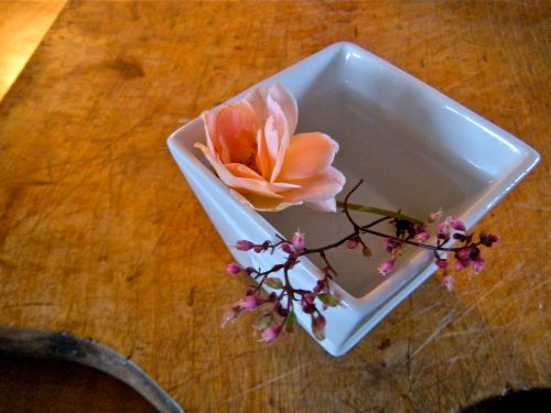 a tiny fallen rose & heuchera sprigs . . . 