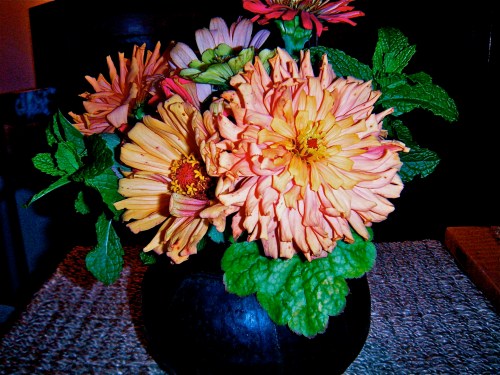 zinnias from the farmers' market in noho . . . 