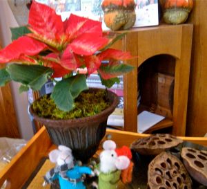 little poinsettia in iron urn