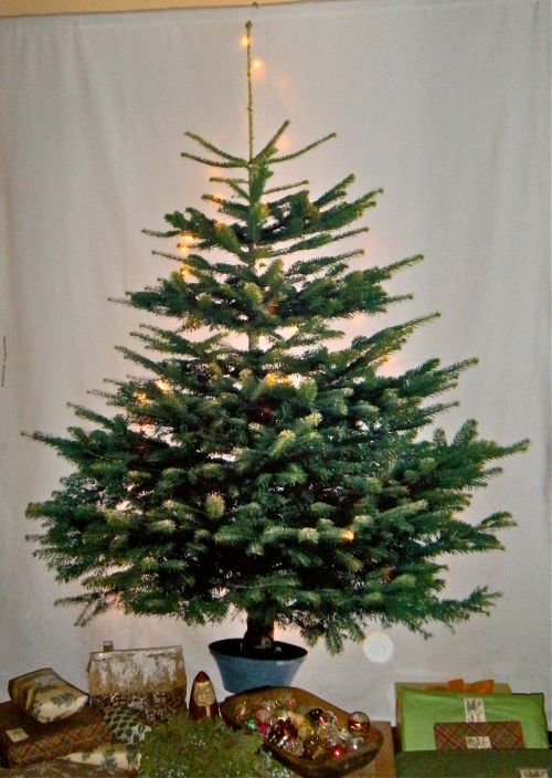 our IKEA wall hanging Christmas Tree this year!