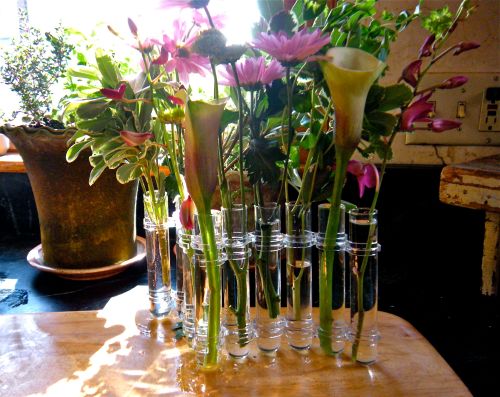a flexible glass tube flower vase "lost" and now "found" . . . 
