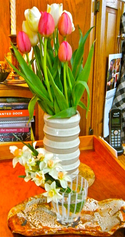 tulips and narcissus from the farmers market in Northampton . . . 
