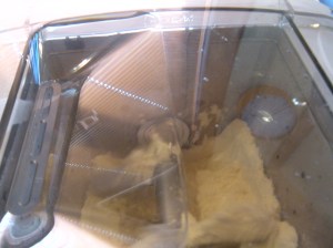 the flours, egg yolks, water and olive oil mixing in the machine