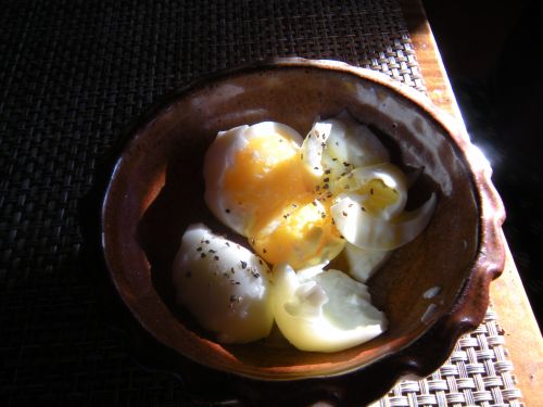 soft boiled eggs