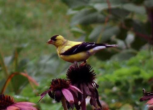 photo taken by JEvans. . . 