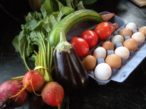 today's bounty from the Northampton Tuesday Farmer's Market! . . . 