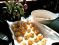 turkey meatballs 6